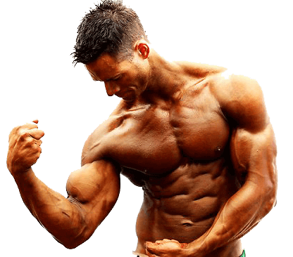 Proviron bodybuilding