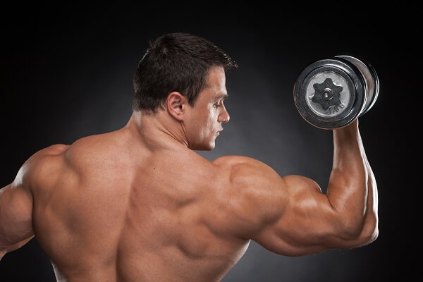 Guadagnare Muscoli