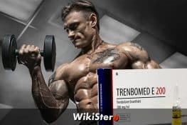 Understanding the Importance of Boosting Male Vitality and Endurance