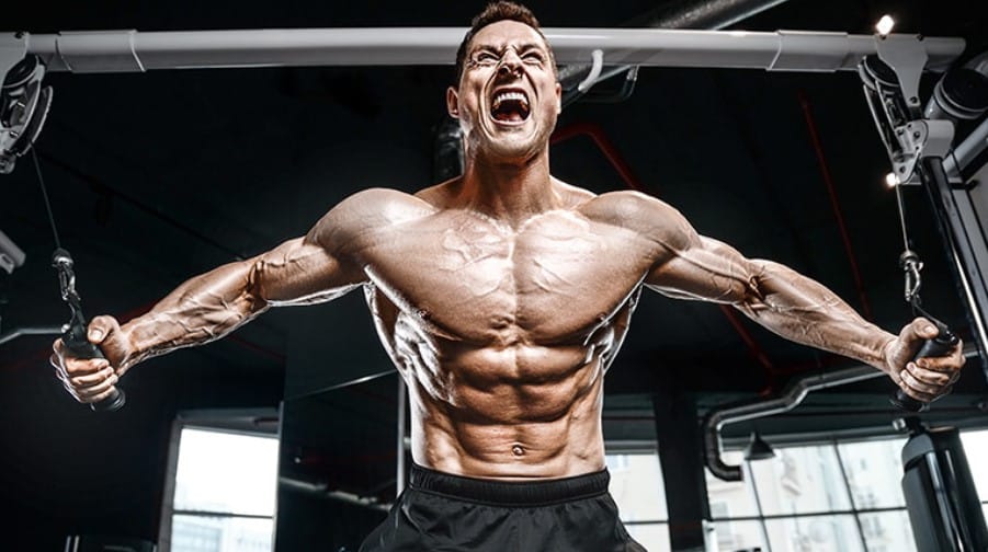 The Right way to Stacking Cycle with Trenbolone WikiStero The Bible